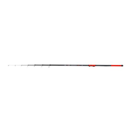 ENERGO TEAM rubin river bolo 20-40g 6.00m