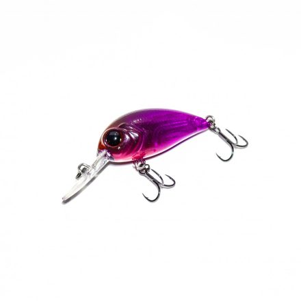 HFL chafer - purple haze