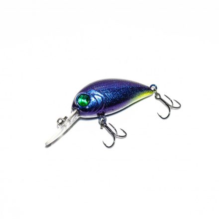 HFL chafer - cobalt chameleon