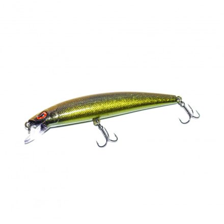 HFL bleak minnow - golden fever