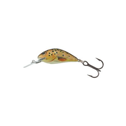 SALMO hornet wobbler h2s t