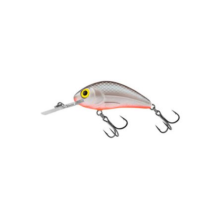 SALMO rattlin' hornet wobbler h6.5 gs