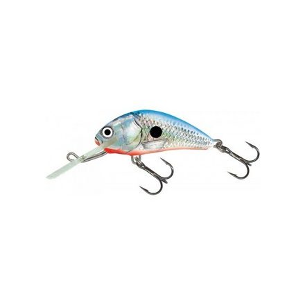 SALMO hornet wobbler h6f sbs