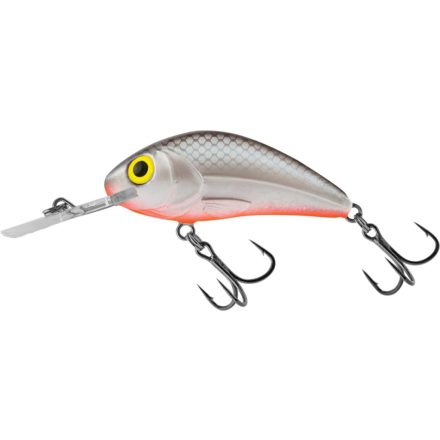 SALMO rattlin hornet h6.5 gs