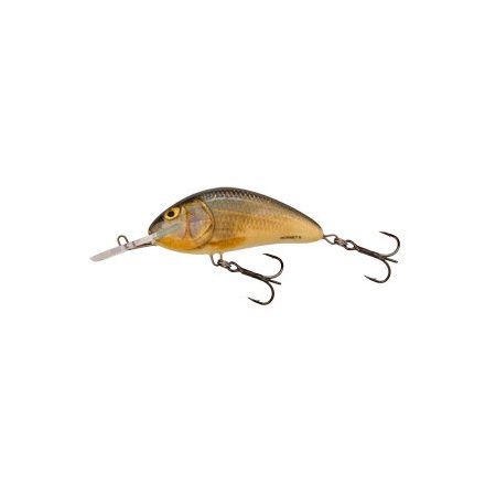 SALMO hornet wobbler h9f rr