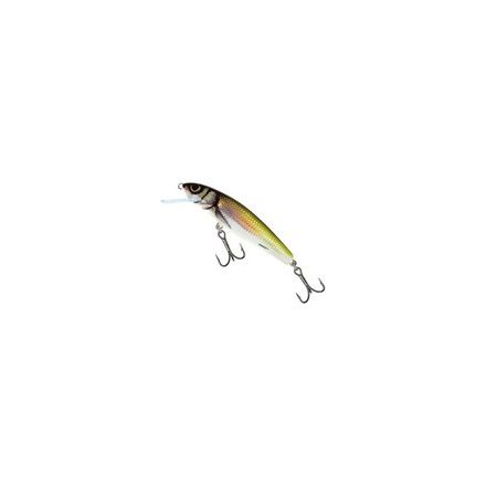 SALMO minnow m5f d