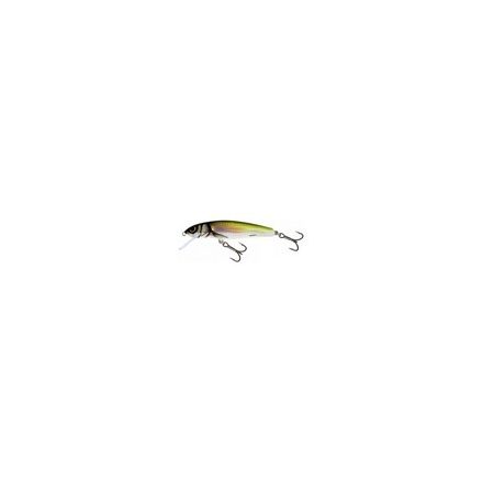 SALMO WOBBLER MINNOW M9F D