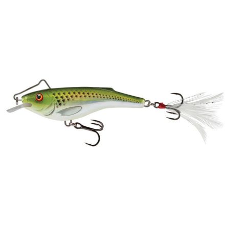 SALMO rail shad rbhns