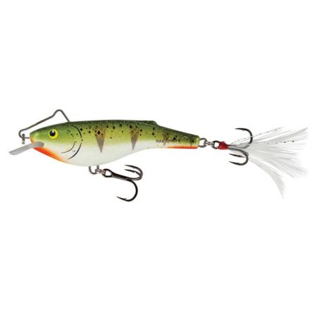 SALMO rail shad rbipe