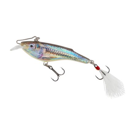 SALMO rail shad rb6s ssh