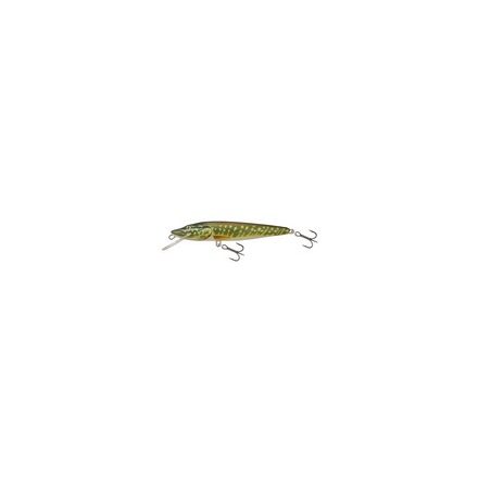 SALMO WOBBLER PIKE PE11F RPE