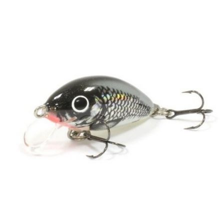 SALMO tiny it3s hgs