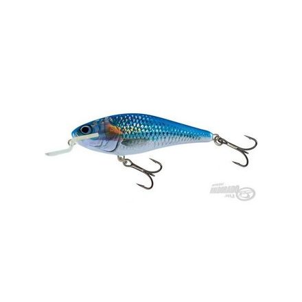 SALMO executor wobbler iex9sr hsh