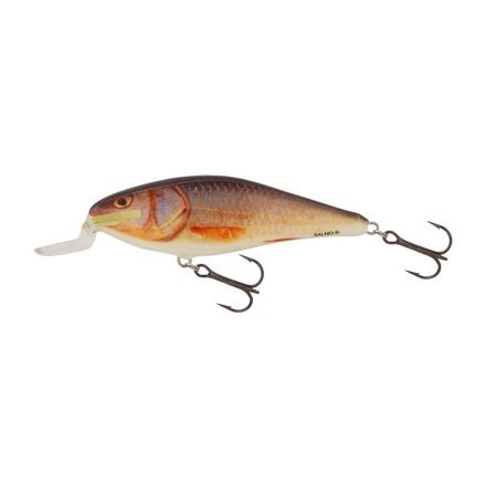 SALMO executor wobbler iex5srf rr