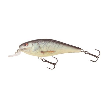 SALMO executor wobbler iex5srf rd