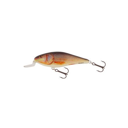 SALMO executor wobbler iex7sr rr