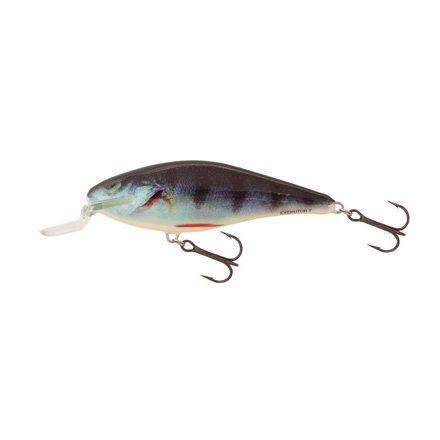 SALMO executor wobbler iex7sr rph