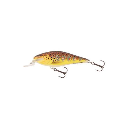 SALMO executor wobbler iex9sr t