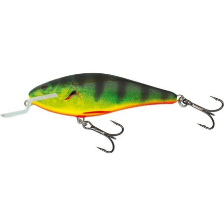 SALMO executor iex9sr rhp