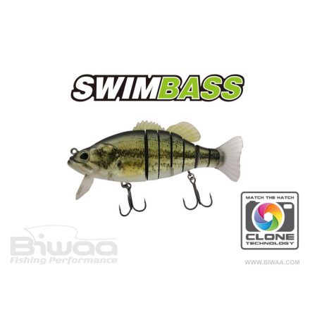 BIWAA SWIMBASS 6" SLOW SINK 15cm 65gr 01 Real Bass