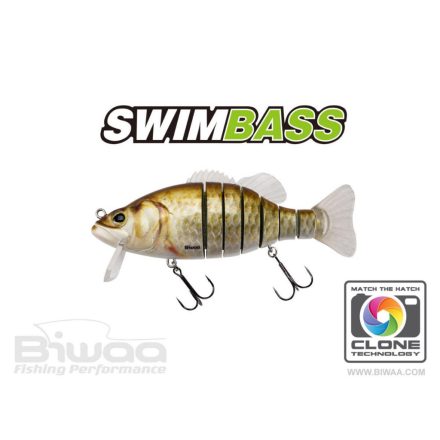 BIWAA SWIMBASS 6" SLOW SINK 15cm 65gr 12 Carassin