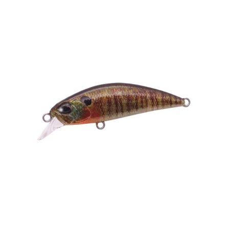 DUO SPEARHEAD RYUKI 45S 4.5cm 4gr CCC3357 True Gill