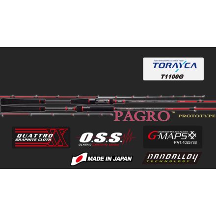 PAGRO PROTOTYPE CAST GPPC-672M-HS FAST 2.01m MAX 200gr