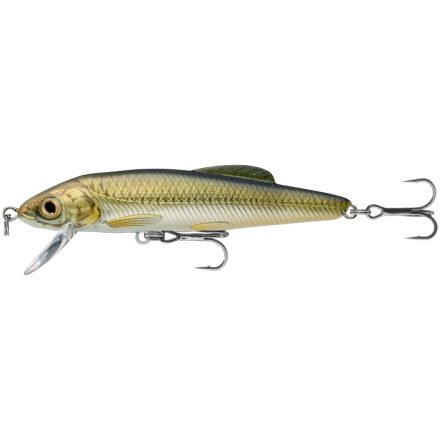 LIVETARGET minnow finesse jerkbait silver/pumpkin 60 mm 11g